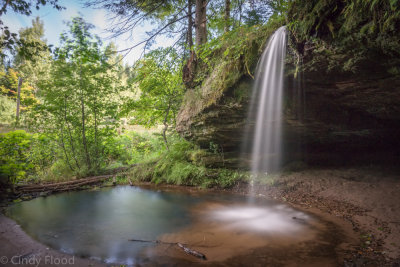 Scott Falls-1.jpg