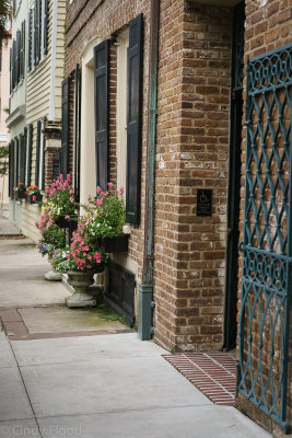 Charleston Sony-13.jpg