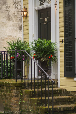 Charleston Sony-21.jpg