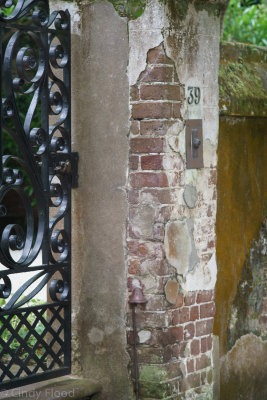 Charleston Sony-32.jpg