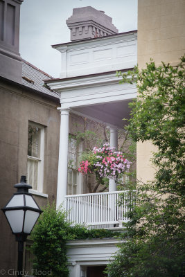 Charleston Sony-34.jpg
