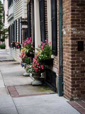 Charleston Oly-1.jpg
