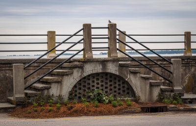 Charleston Oly-14.jpg