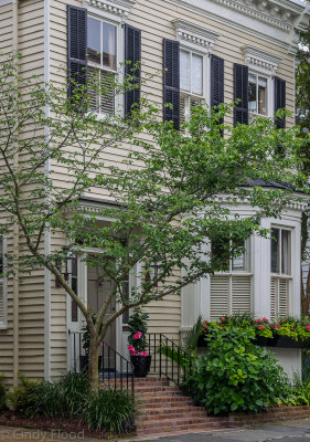 Charleston Oly-19.jpg