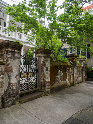 Charleston Oly-26.jpg