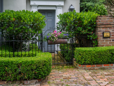 Charleston Oly-36.jpg