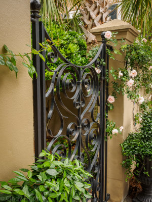 Charleston Oly-46.jpg
