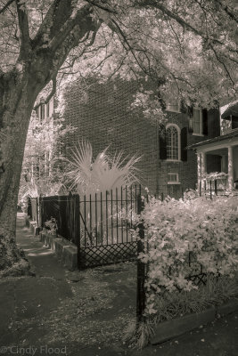 Charleston IR-11.jpg