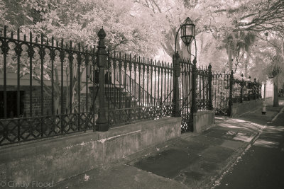 Charleston IR-17.jpg