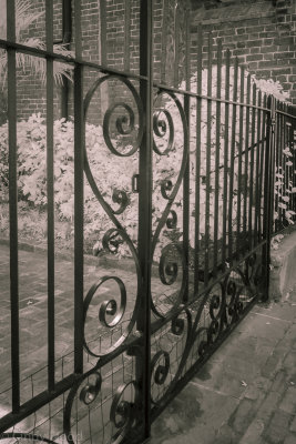 Charleston IR-18.jpg