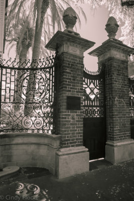 Charleston IR-20.jpg