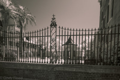 Charleston IR-23.jpg