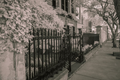 Charleston IR-26.jpg