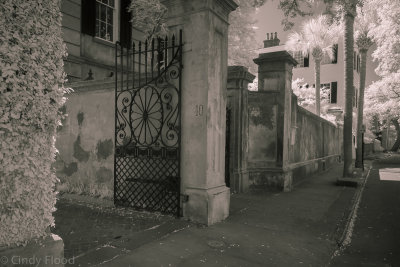 Charleston IR-29.jpg