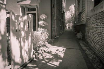 Charleston IR-36.jpg