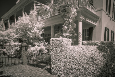 Charleston IR-46.jpg