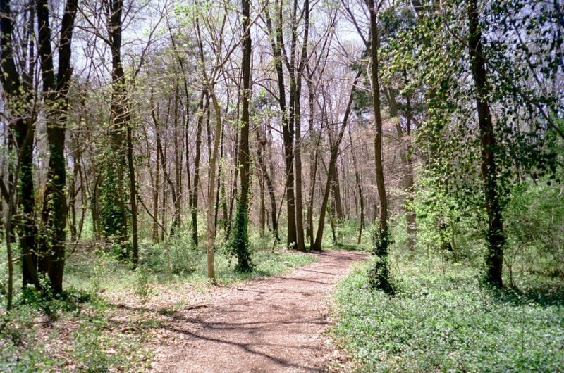 c 023.JPG