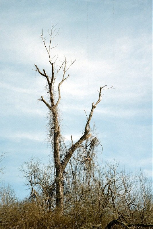 003.JPG