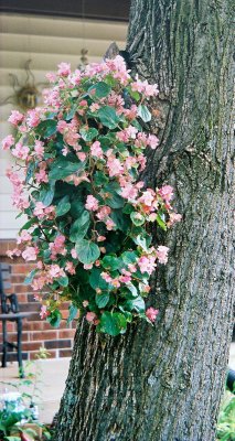 Untitled-07.JPG