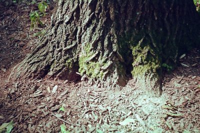 d_0020.JPG
