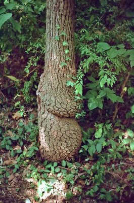 i_0011.JPG
