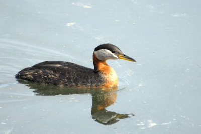 DSC_7588.jpg