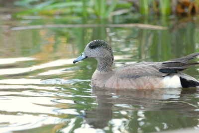 DSC_7760.jpg