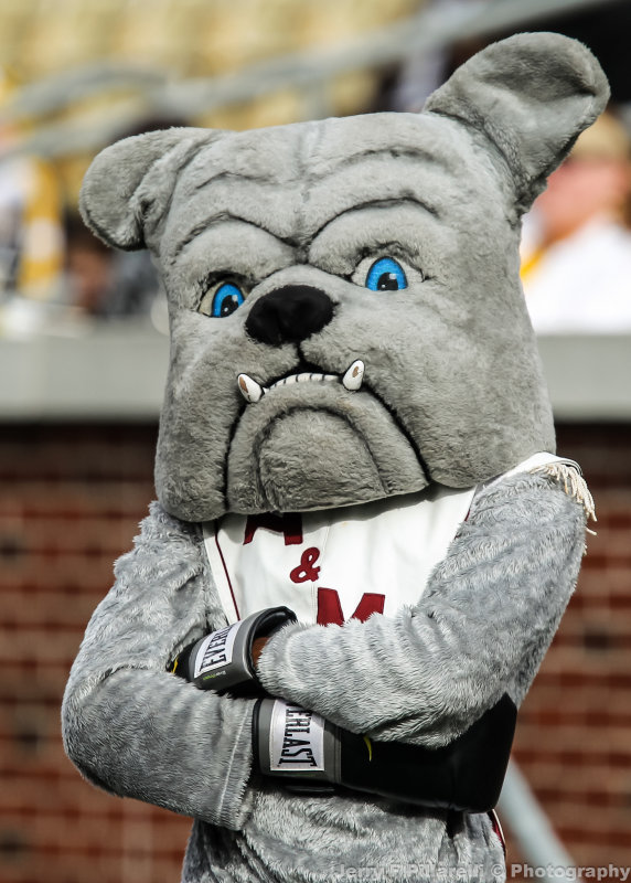 Alabama A&M Bulldogs Mascot on the sidelines