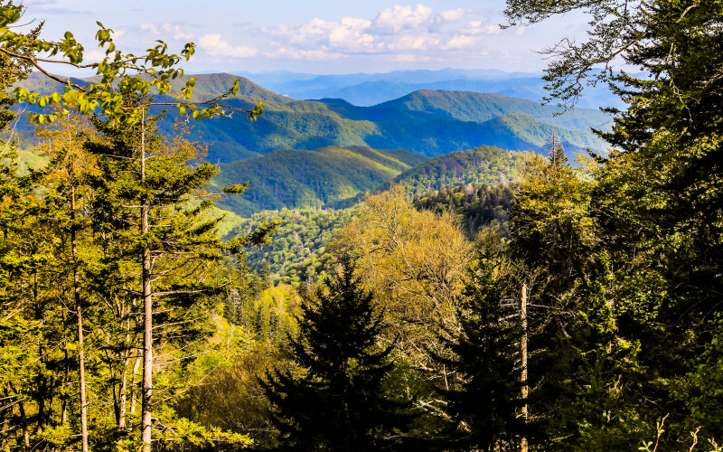 View from Newfound Gap Road in Great Smoky Mountains National Park