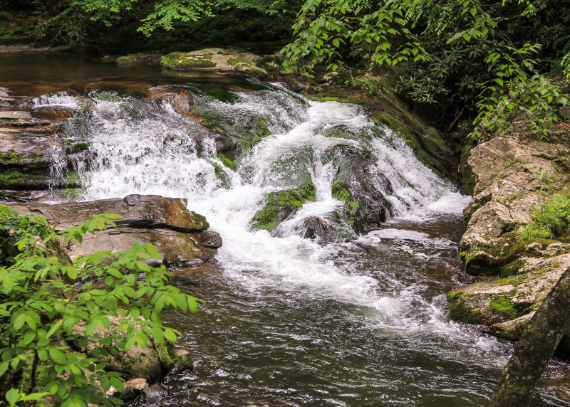 Along the Oconaluftee River in Great Smoky Mountains National Park