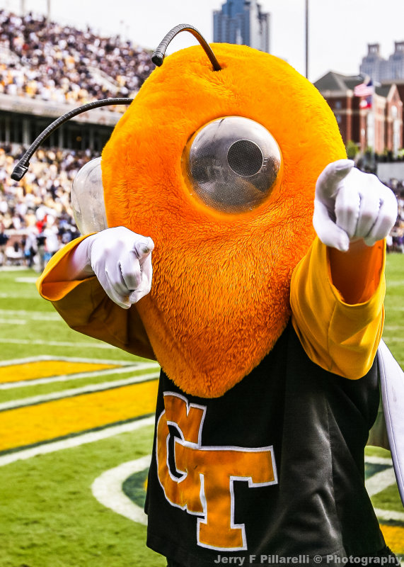 Georgia Tech Mascot Buzz entertains fans from the end zone