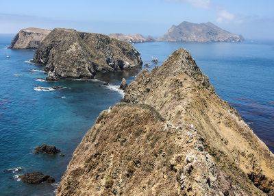 Channel Islands National Park  California