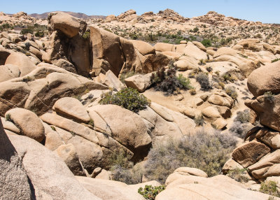Looking out over the Jumbo Rocks area in Joshua Tree National Park