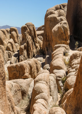 Rock formation in Joshua Tree National Park