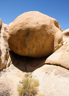Rock ready to roll in Joshua Tree National Park