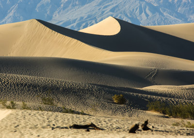 Detail of the contrasts on the Mesquite Flat Sand Dunes in Death Valley National Park