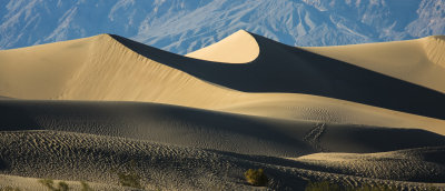 Stark shadows cast on the Mesquite Flat Sand Dunes in Death Valley National Park