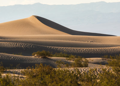 Stark shadows on the Mesquite Flat Sand Dunes in Death Valley National Park