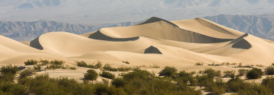 The Mesquite Flat Sand Dunes with the sun at a 90 degree angle in Death Valley National Park
