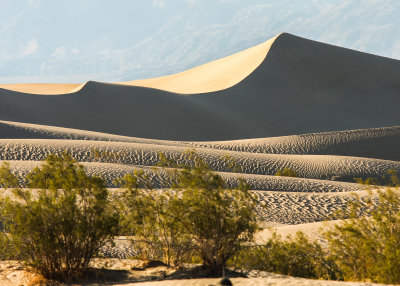 Contrasting planes on the Mesquite Flat Sand Dunes in Death Valley National Park