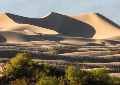 Shadows grow longer on the Mesquite Flat Sand Dunes in Death Valley National Park