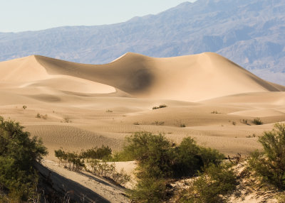 The Mesquite Flat Sand Dunes in late afternoon in Death Valley National Park