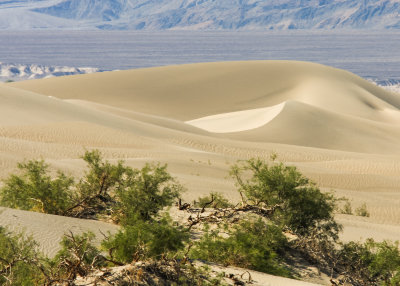 The sand bakes in the sun on the Mesquite Flat Sand Dunes in Death Valley National Park