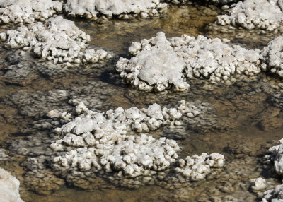Salt deposits in Badwater Pool in Death Valley National Park
