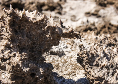 Salt and mineral formation at the Devils Golf Course in Death Valley National Park