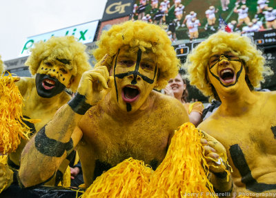Georgia Tech Fans in the north end zone