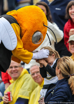 Yellow Jackets Mascot Buzz entertains a young fan in the stands