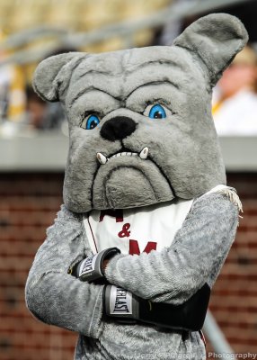 Alabama A&M Bulldogs Mascot on the sidelines