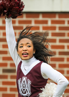 Alabama A&M Cheerleader on the sidelines