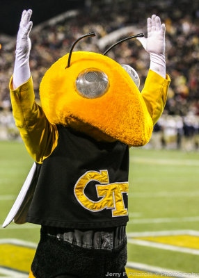 Georgia Tech Yellow Jackets Mascot Buzz signals the touchdown